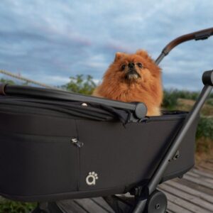 Cabàs per a Mascotes Anex Air-Q - Imatge 10